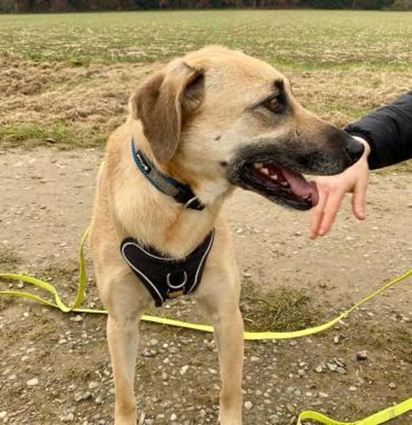 Daniela  plötzlich ist man Zuhause