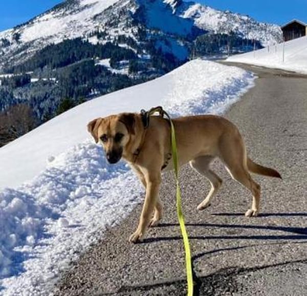 Daniela  plötzlich ist man Zuhause