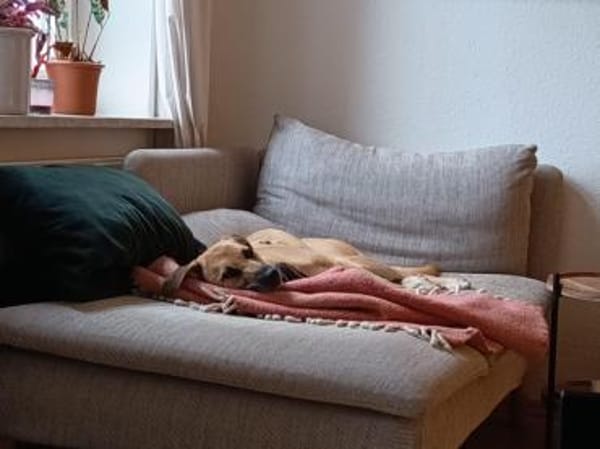 Daniela  plötzlich ist man Zuhause