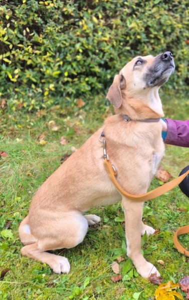 Daniela  plötzlich ist man Zuhause