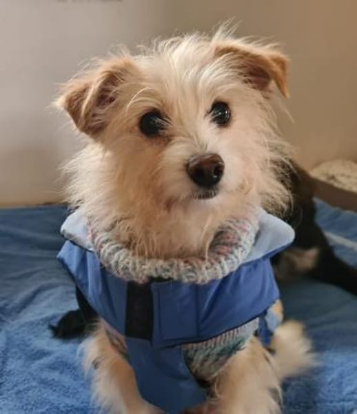 Kuschelige Flora sucht rüstige Rentner💖