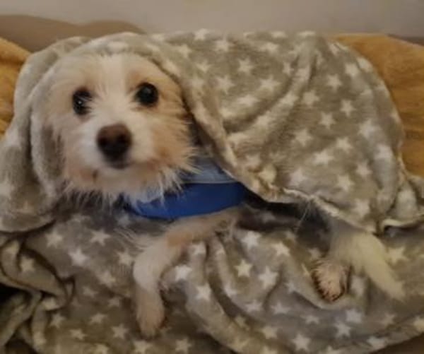 Kuschelige Flora sucht rüstige Rentner💖