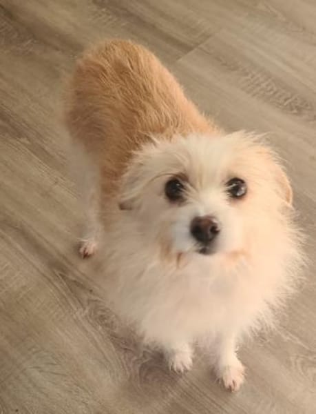 Kuschelige Flora sucht rüstige Rentner💖