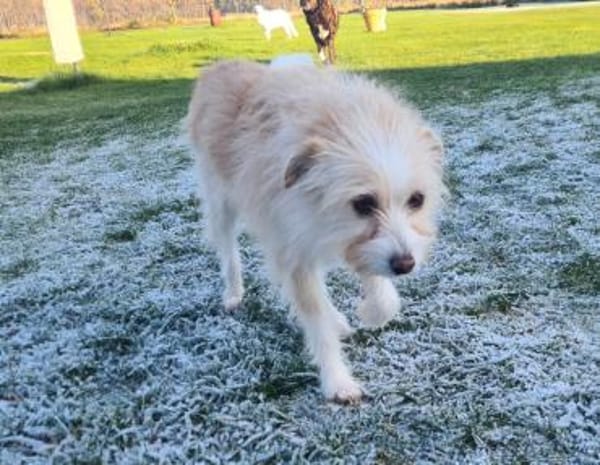 Kuschelige Flora sucht rüstige Rentner💖