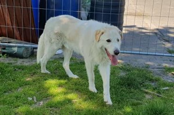 Albano - Notfall wartet in Wagenfeld