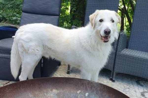 Albano - Notfall wartet in Wagenfeld