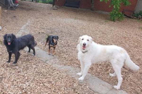 Albano - Notfall wartet in Wagenfeld