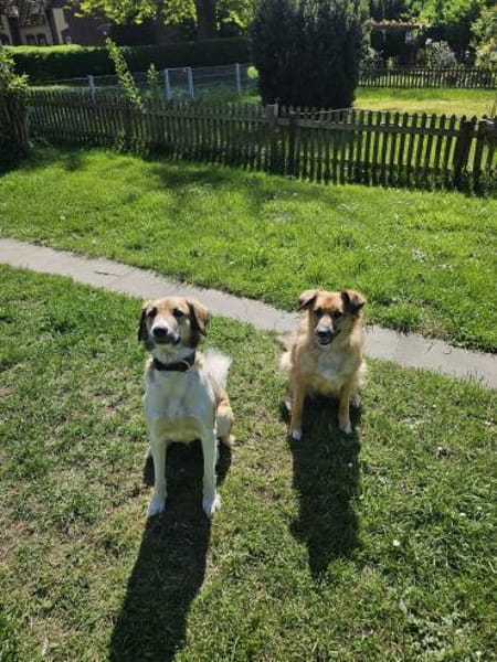 Wilma❤& Pepples suchen eine Endstelle