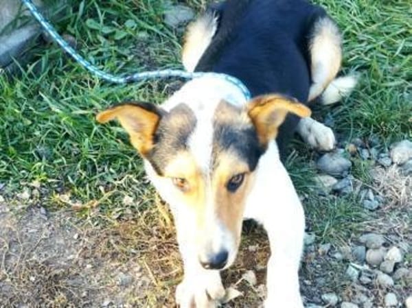 Monty zeigt ihm das Menschen gut sind