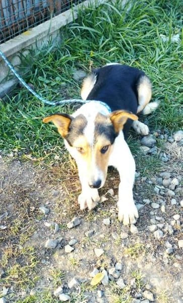 Monty zeigt ihm das Menschen gut sind