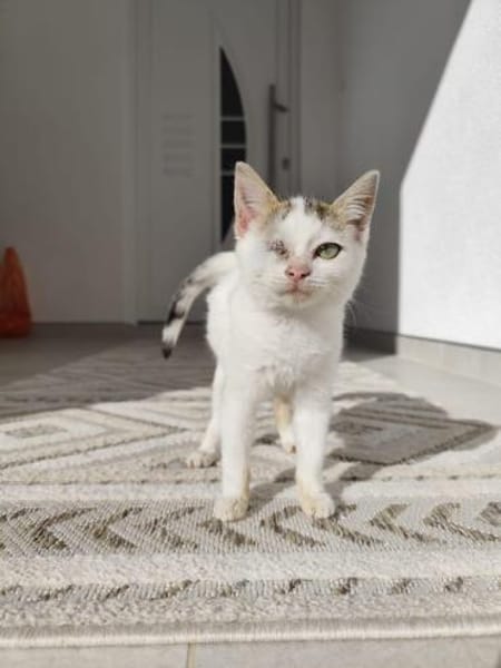 Kämpferin 💕Xenia💕sucht ihre Menschen