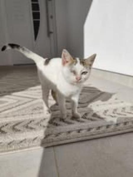 Kämpferin 💕Xenia💕sucht ihre Menschen