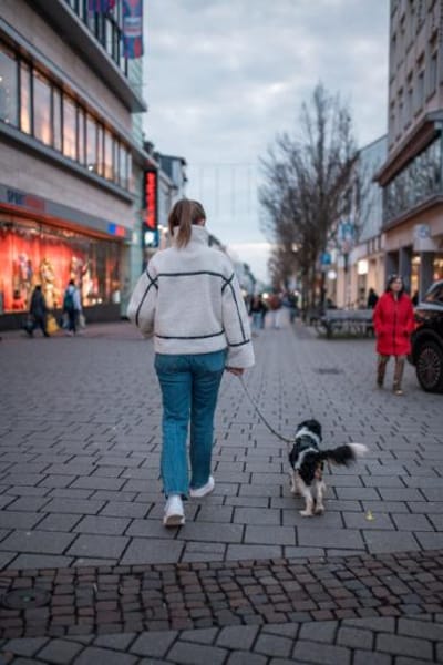 Foltos, tapferer Überlebenskünstler, ca.