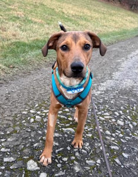 Barnus sucht seine Familie