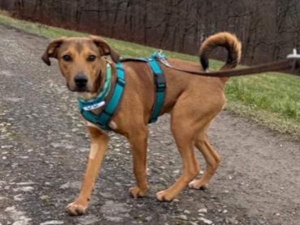 Barnus sucht seine Familie