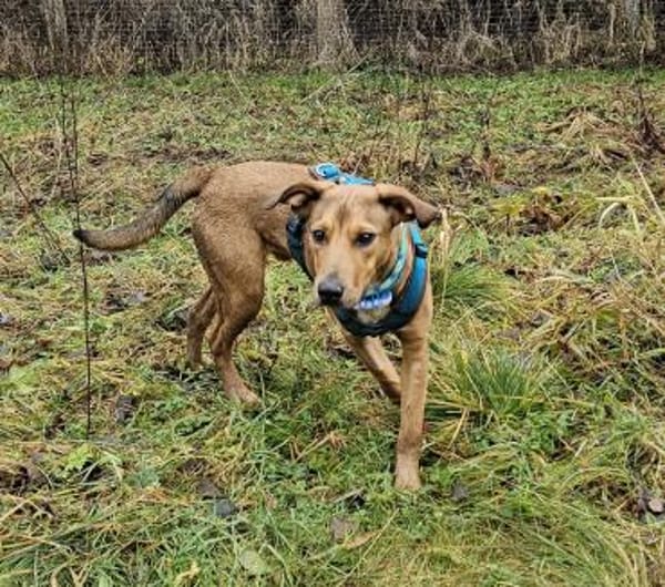 Barnus sucht seine Familie