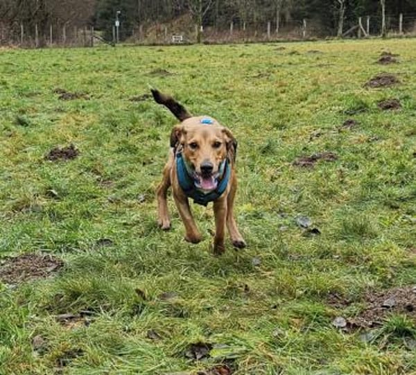 Barnus sucht seine Familie