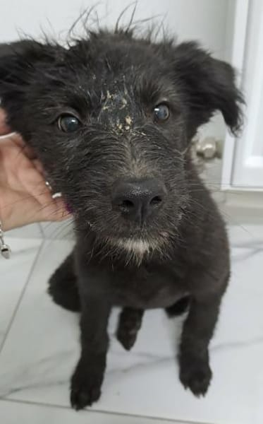 NALA - (liebevoll und verspielt)