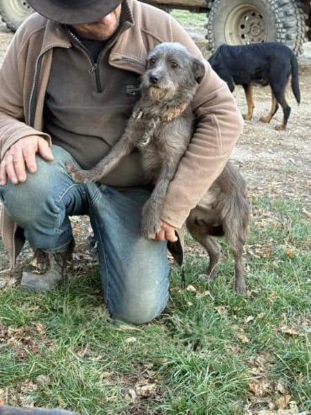 Ich heiße Zippy ,36 cm, mit Video