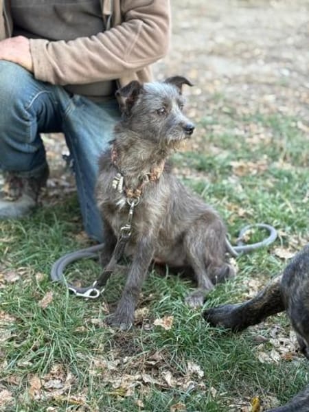 Ich heiße Zippy ,36 cm, mit Video