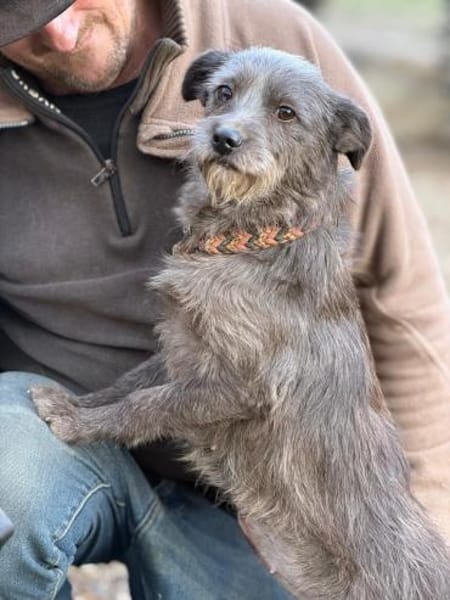 Ich heiße Zippy ,36 cm, mit Video