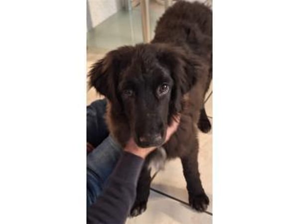 Jana - wartet in 66482 Zweibrücken