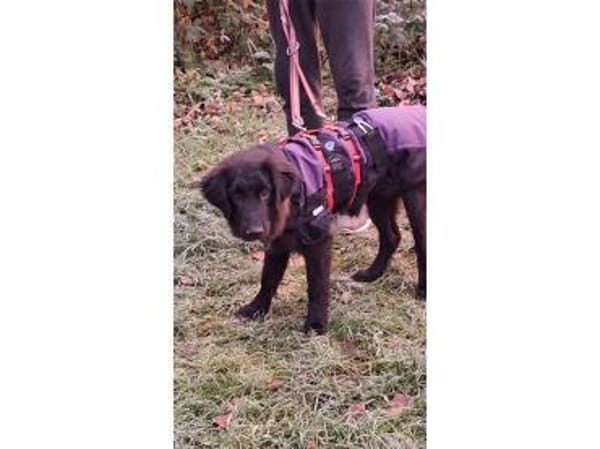 Jana - wartet in 66482 Zweibrücken