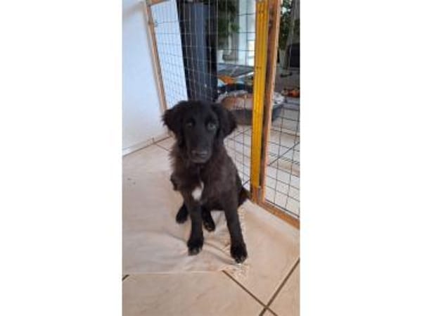 Jana - wartet in 66482 Zweibrücken