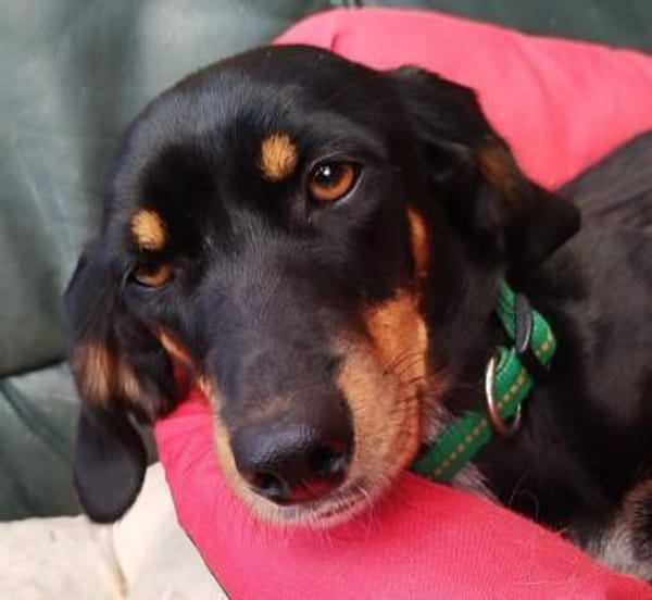 Tolle Peggy sucht sportliche Menschen💖