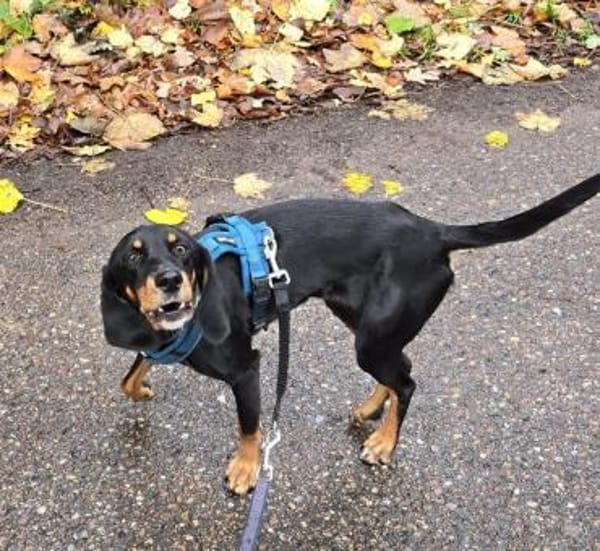 Tolle Peggy sucht sportliche Menschen💖