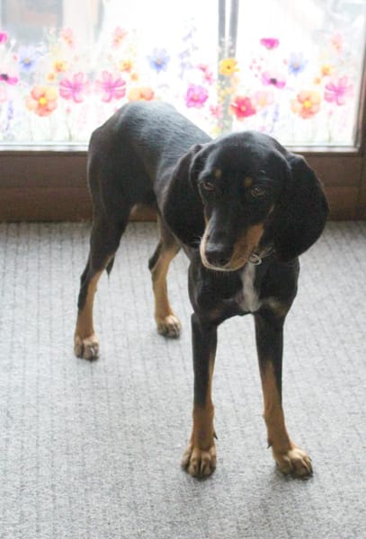 Tolle Peggy sucht sportliche Menschen💖