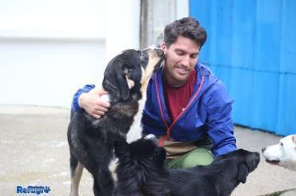 Matilda sucht ein liebevolles Zuhause