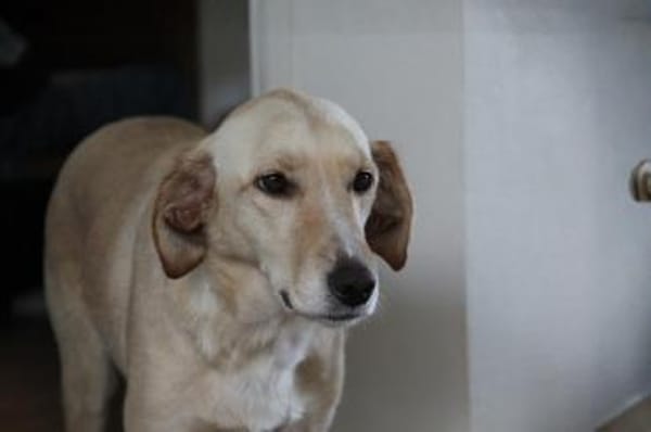 OliviaCarina - wartet in 53343 Wachtberg