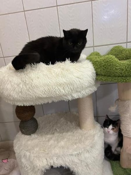 💕Samanta wartet auf ihr Glück 💕