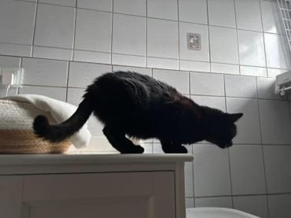 💕Samanta wartet auf ihr Glück 💕