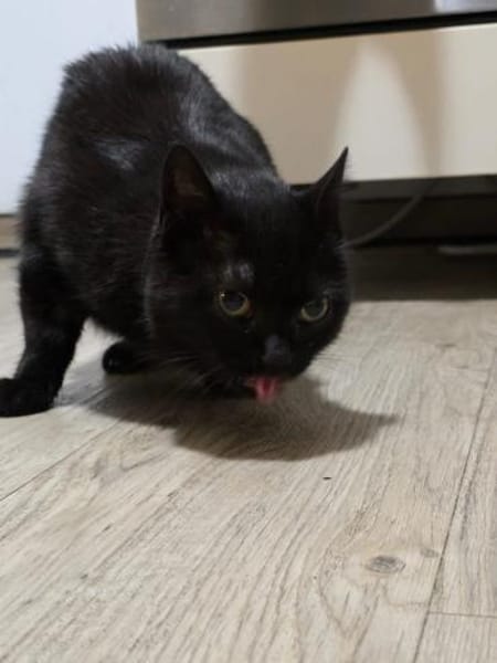 💕Samanta wartet auf ihr Glück 💕