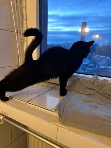 💕Samanta wartet auf ihr Glück 💕