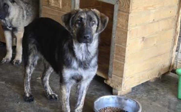 Kessy hat so viel Liebe zu geben