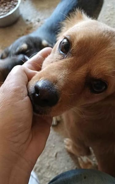 LEILA - (fröhlich, aufgeweckt)