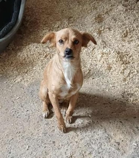 LEILA - (fröhlich, aufgeweckt)