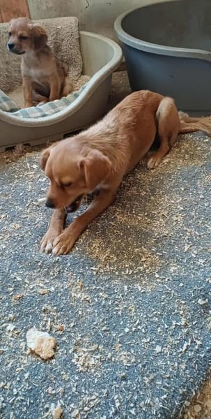 LEILA - (fröhlich, aufgeweckt)