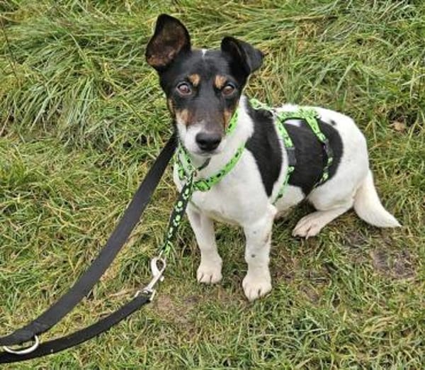 Marcella ist sportlich und schlau