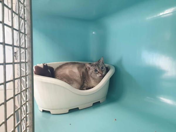 FLOP QCT (réservé)