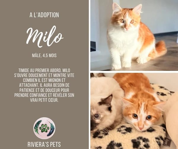 Milo