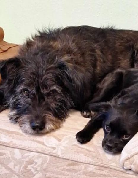 Marlenka wartet in 28816 Stuhr