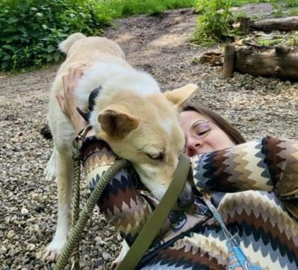 Zuhause für besonderen 🐕 CREAM 🆘🆘🆘