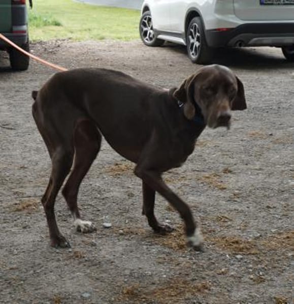 Asia, lernwillig, freundlich, offen