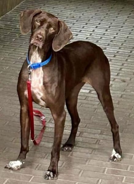 Asia, lernwillig, freundlich, offen