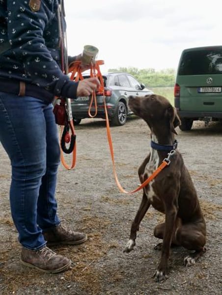 Asia, lernwillig, freundlich, offen