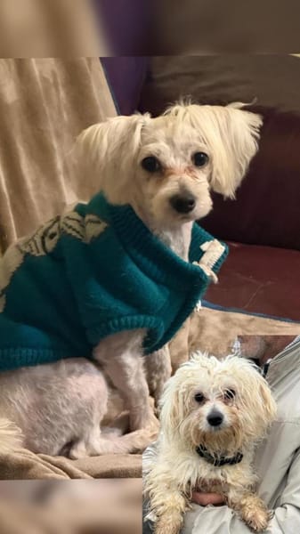 Ich heiße Casper... mit Video